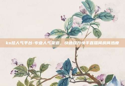 ks挂人气平台-专业人气渠道,快速提升快手直播间房间热度