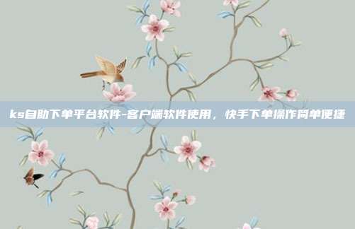 ks自助下单平台软件-客户端软件使用，快手下单操作简单便捷