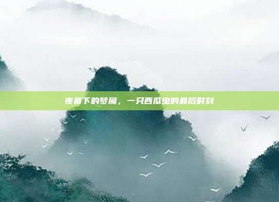 夜幕下的梦魇,一只西瓜虫的最后时刻