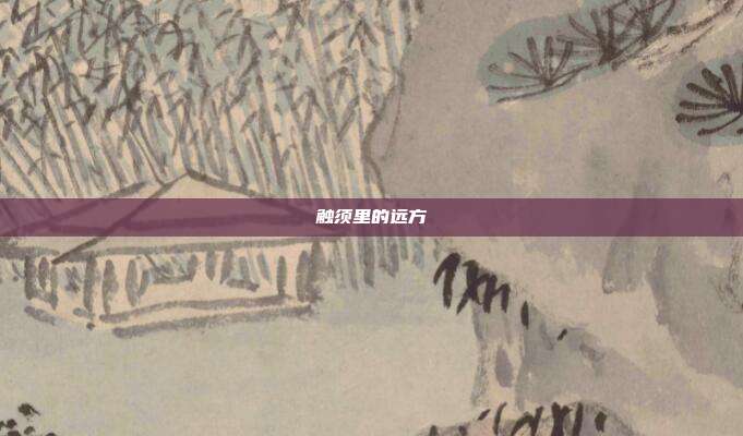 触须里的远方