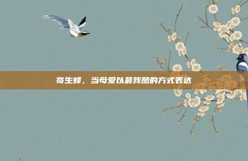寄生蜂,当母爱以最残酷的方式表达