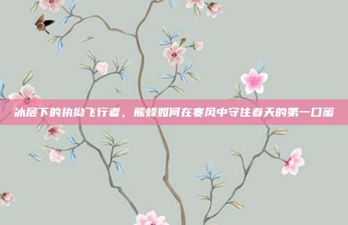 冰层下的执拗飞行者,熊蜂如何在寒风中守住春天的第一口蜜