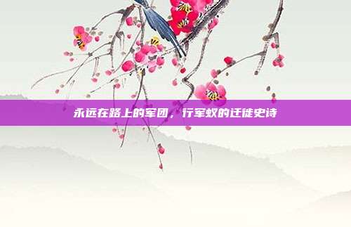 永远在路上的军团，行军蚁的迁徙史诗