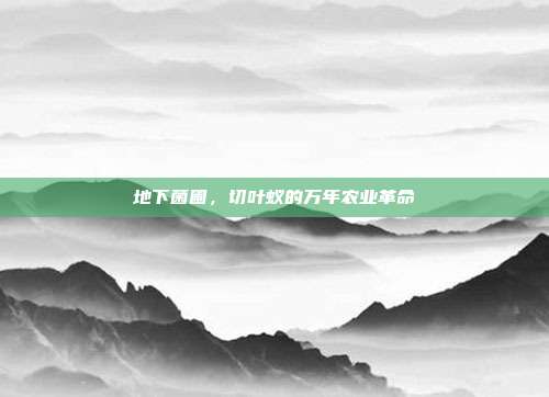 地下菌圃,切叶蚁的万年农业革命