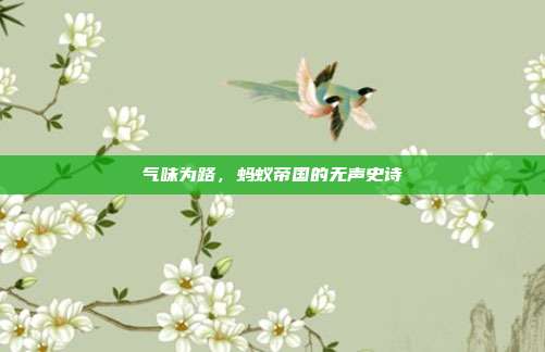 气味为路，蚂蚁帝国的无声史诗