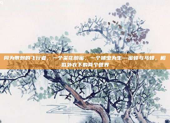 同为带刺的飞行者,一个采花酿蜜,一个捕虫为生—蜜蜂与马蜂,相似外衣下的两个世界