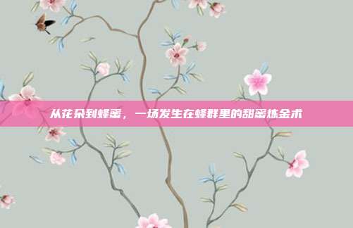 从花朵到蜂蜜,一场发生在蜂群里的甜蜜炼金术