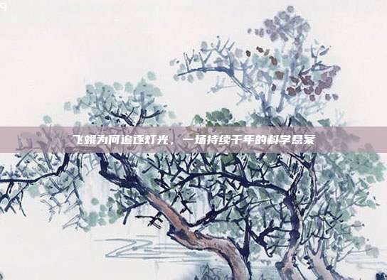 飞蛾为何追逐灯光，一场持续千年的科学悬案
