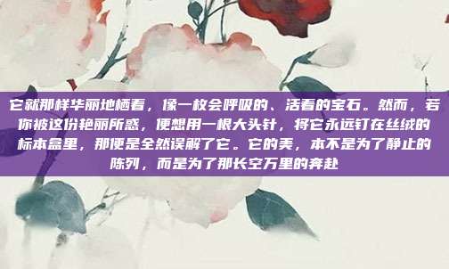 它就那样华丽地栖着,像一枚会呼吸的、活着的宝石。然而,若你被这份艳丽所惑,便想用一根大头针,将它永远钉在丝绒的标本盒里,那便是全然误解了它。它的美,本不是为了静止的陈列,而是为了那长空万里的奔赴