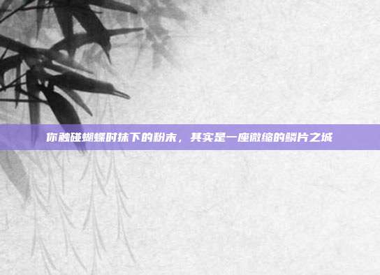 你触碰蝴蝶时抹下的粉末,其实是一座微缩的鳞片之城