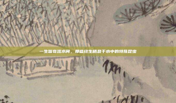 一生皆寄流水间,那些终生栖息于水中的特殊昆虫