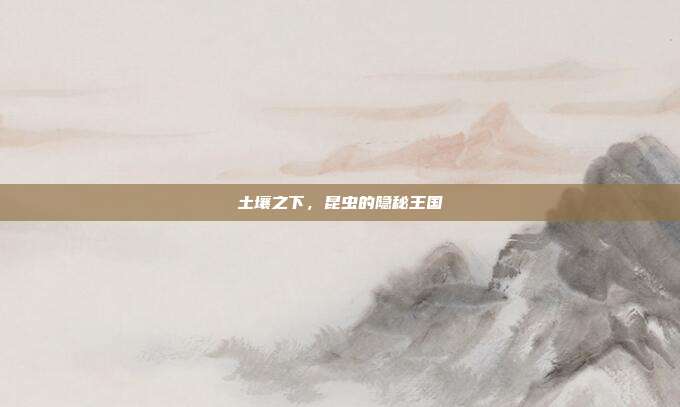 土壤之下，昆虫的隐秘王国