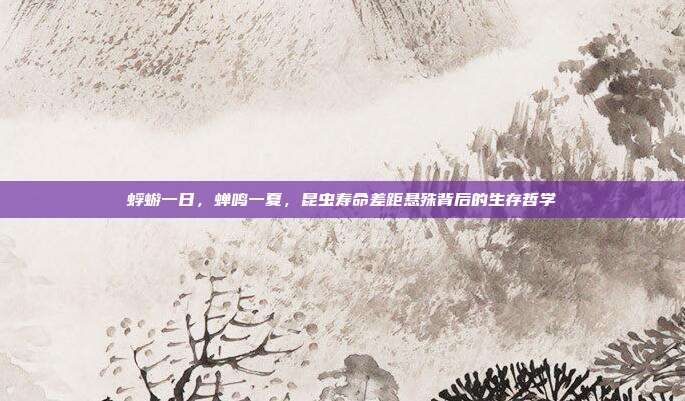 蜉蝣一日，蝉鸣一夏，昆虫寿命差距悬殊背后的生存哲学