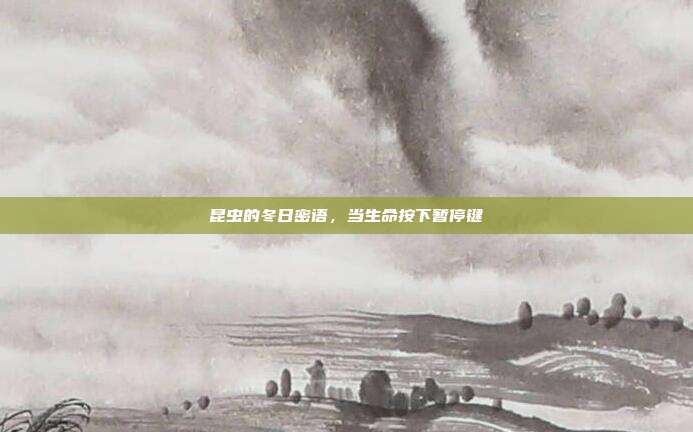 昆虫的冬日密语，当生命按下暂停键