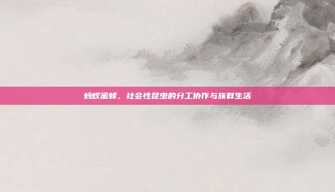 蚂蚁蜜蜂,社会性昆虫的分工协作与族群生活