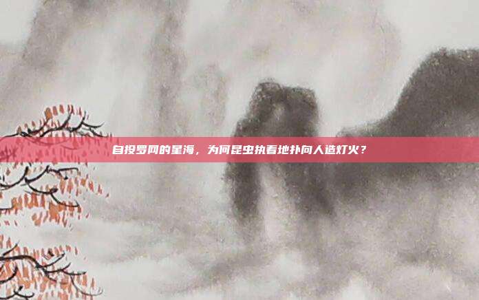 自投罗网的星海,为何昆虫执着地扑向人造灯火?