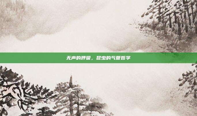 无声的呼吸，昆虫的气管哲学