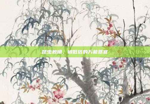 昆虫触角，被低估的万能器官