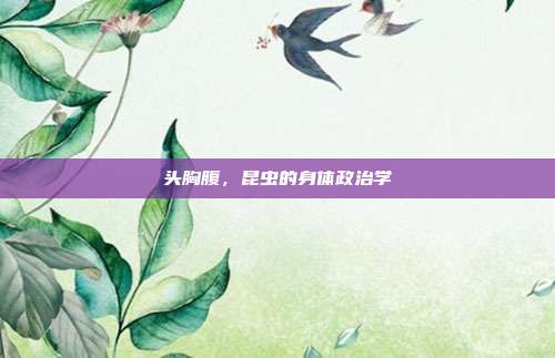 头胸腹,昆虫的身体政治学