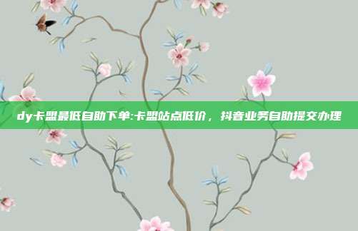 dy卡盟最低自助下单:卡盟站点低价,抖音业务自助提交办理