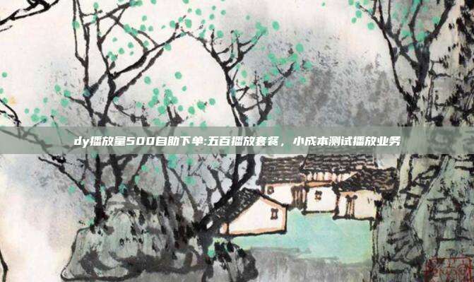 dy播放量500自助下单:五百播放套餐,小成本测试播放业务