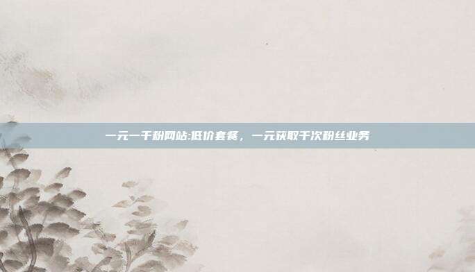一元一千粉网站:低价套餐，一元获取千次粉丝业务