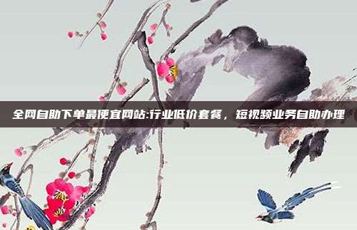 全网自助下单最便宜网站:行业低价套餐,短视频业务自助办理