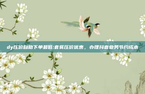 dy压价自助下单最低:套餐压价优惠,办理抖音业务节约成本