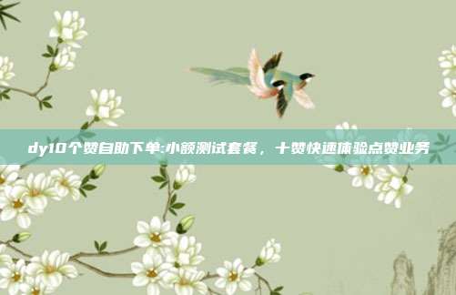 dy10个赞自助下单:小额测试套餐,十赞快速体验点赞业务