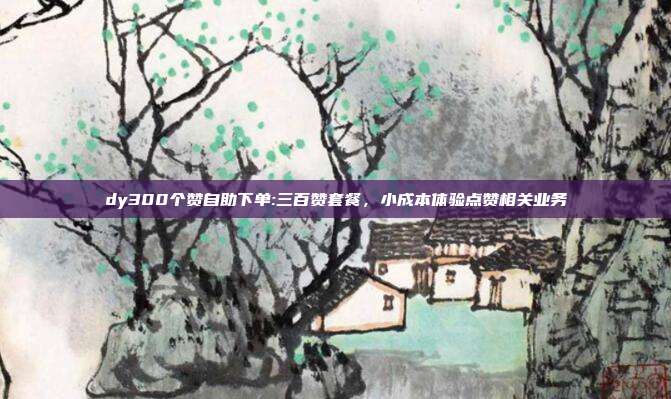 dy300个赞自助下单:三百赞套餐,小成本体验点赞相关业务
