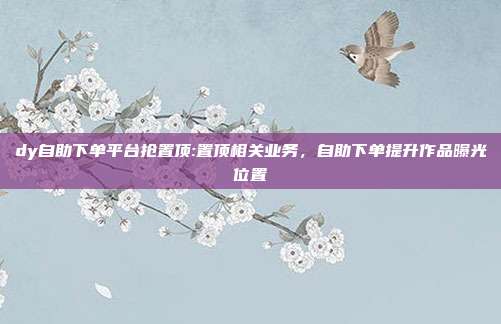 dy自助下单平台抢置顶:置顶相关业务，自助下单提升作品曝光位置