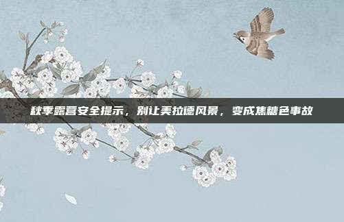 秋季露营安全提示,别让美拉德风景,变成焦糖色事故