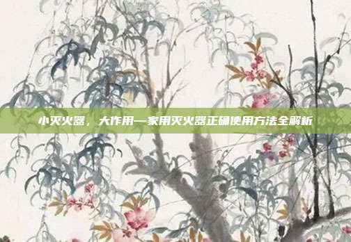 小灭火器,大作用—家用灭火器正确使用方法全解析
