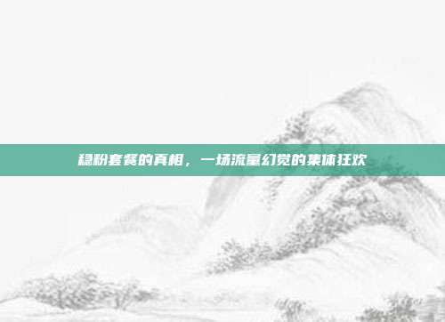稳粉套餐的真相,一场流量幻觉的集体狂欢