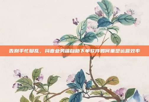 告别手忙脚乱,抖音业务端自助下单软件如何重塑运营效率