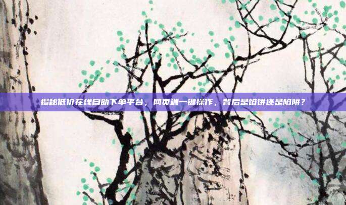 揭秘低价在线自助下单平台，网页端一键操作，背后是馅饼还是陷阱？