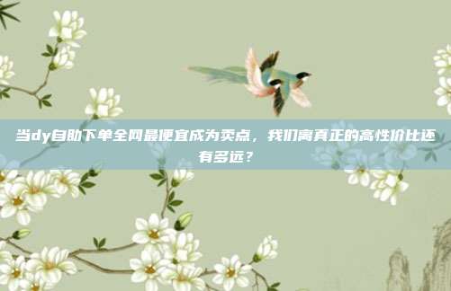当dy自助下单全网最便宜成为卖点,我们离真正的高性价比还有多远?