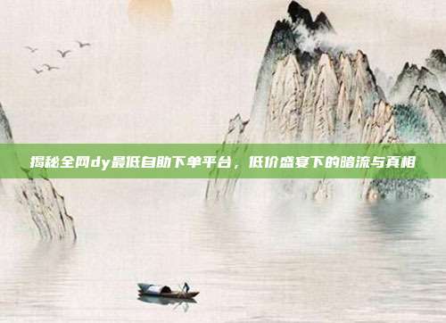揭秘全网dy最低自助下单平台,低价盛宴下的暗流与真相