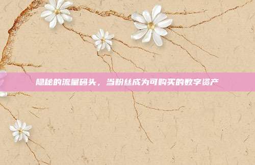 隐秘的流量码头,当粉丝成为可购买的数字资产