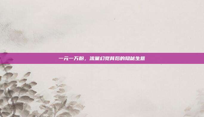 一元一万粉,流量幻觉背后的隐秘生意