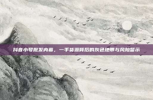抖音小号批发内幕,一手货源背后的灰色地带与风险警示
