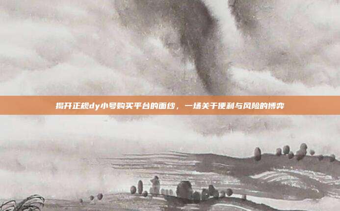 揭开正规dy小号购买平台的面纱,一场关于便利与风险的博弈