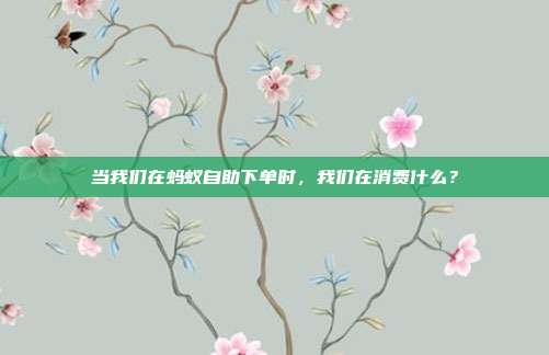 当我们在蚂蚁自助下单时，我们在消费什么？