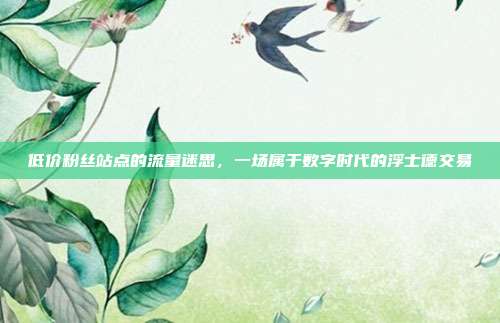 低价粉丝站点的流量迷思,一场属于数字时代的浮士德交易