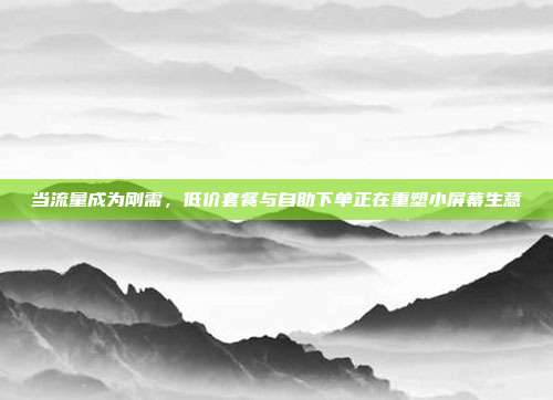 当流量成为刚需，低价套餐与自助下单正在重塑小屏幕生意
