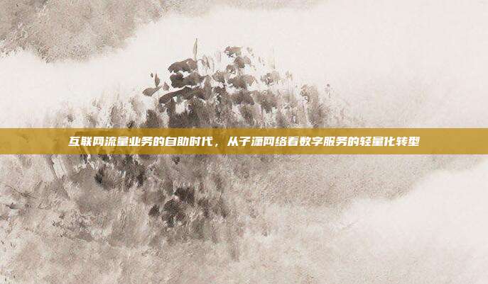 互联网流量业务的自助时代,从子潇网络看数字服务的轻量化转型
