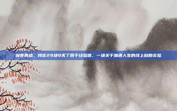 深夜两点，我花29块9买了四千经验值，一场关于加速人生的线上自助实验