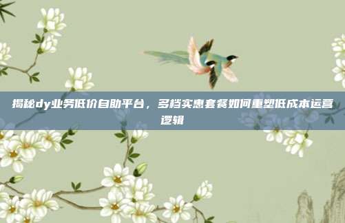 揭秘dy业务低价自助平台,多档实惠套餐如何重塑低成本运营逻辑