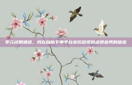零元试用通道,我在自助下单平台亲历短视频点赞业务的暗流