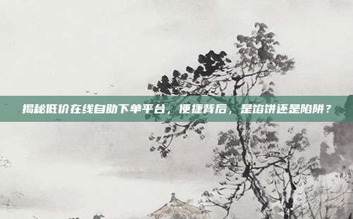 揭秘低价在线自助下单平台,便捷背后,是馅饼还是陷阱?